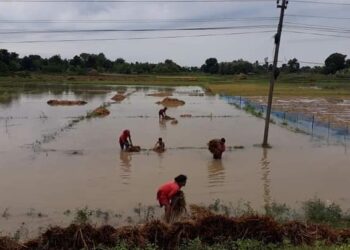बेमौसमी पानीले गरेको धानबाली नस्ट प्रती राहत उपलब्ध गराउन सम्बन्धि निकायको ध्यानाकर्षण