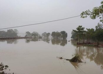 बाढीपीडित क्षेत्रमा दुर्गन्ध फैलियो, राेग फैलन सक्ने सम्भावना