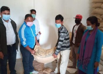 टीकापुर ७ र ९ ले ५० प्रतिशत अनुदानमा किसानलाई गहुँकाे बीउ वितरण