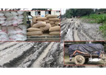 सिमाक्षेत्रबाट चाेरी तस्करी बढ्याे, सत्ती भन्सारकाे राजस्व संकलनमा कमि