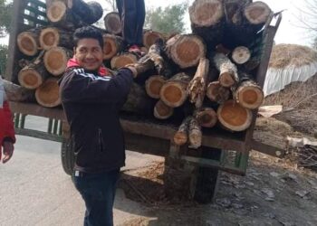 सत्ति कर्णाली सामुदायिक वनले जेष्ठ नागरिकलाई नि:शुल्क दाउरा वितरण गर्दै