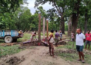 अन्तरास्ट्रिय जैविक मार्ग बसन्ता अतिक्रमणको चपेटामा