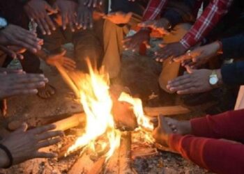 जाडाे बढे संगै सत्ति कर्णाली वनले चाेक चाेकमा दाउरा वितरण