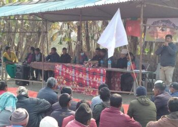 कांग्रेस समर्थित १६ जना जनप्रतिनिधि नागरिक उन्मुक्ति पार्टीमा आवद्व भएको खुलासा