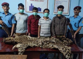 कैलाली चितुवाको छाला सहित ४ जना पक्राउ