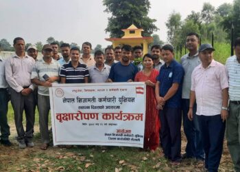 निजामती कर्मचारीले वृक्षारोपण गरि मनाए स्थापना दिवस