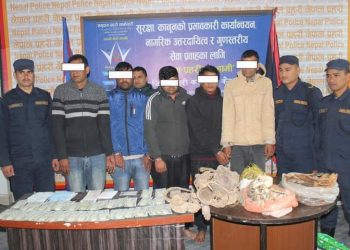 बाघको हड्डी, जडिबुटी र नगद सहित ५ जना पक्राउ