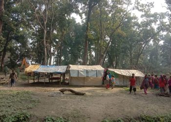 वन अतिक्रमण हटाएको २ दिन नबित्दै पुन घरटहरा निर्माण भए