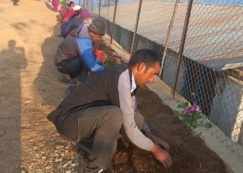 प्रजातन्त्र दिवसको अवसरमा बोगटान -१ सिचाैर द्वारा वृक्षारोपण