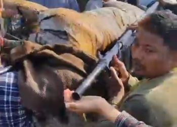बाघ नियन्त्रणमा ,बेपत्ता भएकी महिलाको शव भेटियो