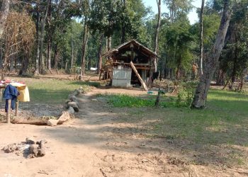पहिरो पिडितका नाममा गरिएको वन अतिक्रमण हटाईने