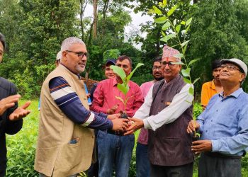 कुण्डा सब वन कार्यालयद्वारा बिरुवा वितरण सुरु