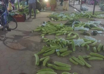तरकारी विक्री गर्न नपाएपछि कृषकहरुले हाटबजारमै फाले तरकारी