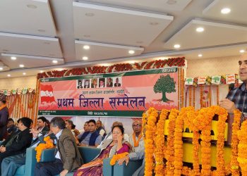 संविधानको सफल कार्यान्वयनमा नेताहरू चुक्दा प्रसाईंहरू धावा बोल्दैछन् : नैनसिंह मर