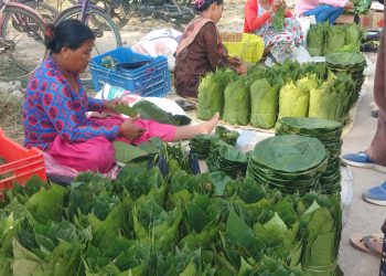 सालको पातमा पनि धनगढी उप–महानगरपालिकले लगायो कर