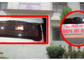 वन मन्त्रालयको सचिव सवार गाडीमा ढुङ्गा प्रहार