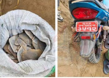 लोपोन्मुख सालकको खपटासहित दुई जना पक्राउ