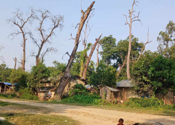 बसन्ता जैविक मार्गकाे बन्यजन्तु बासस्थान अतिक्रमणले नासिँदै