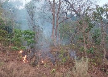 लामो समय सम्म पानी नपरेकोले आगलागी बढ्दो