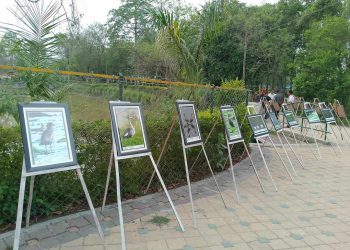 अन्तर्राष्ट्रिय जैविक विविधता दिवसको अवसरमा घोडाघोडीमा फोटो प्रर्दशनि
