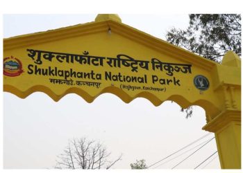 सुनौलो तोपचराको शुक्लाफाटा राष्ट्रिय निकुन्जमा गणना सुरु