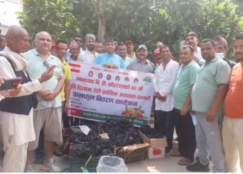 कांग्रेशले ४२ औँ बिपी स्मृती दिवस मनाइयो