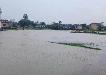कैलाली कञ्चनपुरमा भारी वर्षा, सतर्कता अपनाउन प्रशासनको आग्रह