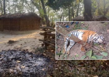 संरक्षित क्षेत्रमै अतिक्रमण र चोरीसिकारी
