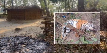 संरक्षित क्षेत्रमै अतिक्रमण र चोरीसिकारी