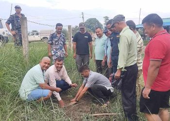 वृक्षारोपणको फेसन, संरक्षणमा ध्यान छैन