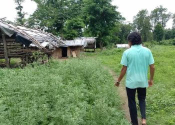 मासिँदै भावर, नासिँदै चुरे