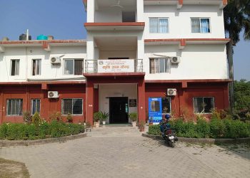 कैलाली जिल्लामा धान खेती उत्पादनमा वृद्धि