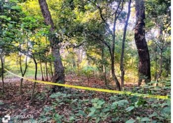 धनगढीको सामुदायिक वनमा दुईजना मृत फेला