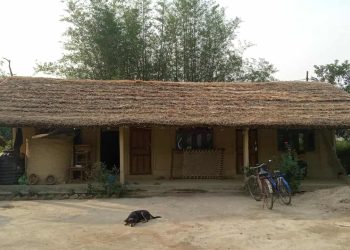 थारु परम्परागत शैलिका माटोको लिपपोत, खरले छाएको चिटिक्क “होमस्टे बसेरा”