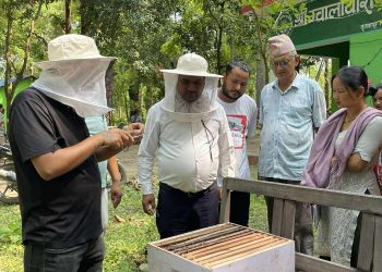मानव बन्यजन्तु द्वन्द्व न्यूनीकरण गर्न सामुदायिक वनमा मौरी पालन