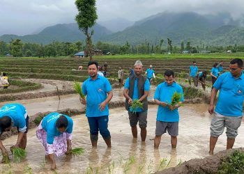 मोहन्याल गाउँपालिकाको ३ फल्लेबिसौनामा धान दिवस मनाइयो