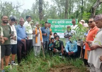 नदी कटानी रोक्न धनगढीको मोहना क्षेत्रमा ३२ हजार बिरुवा रोपिंदै