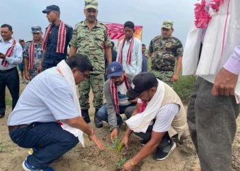 जैविक विविधता संरक्षण तथा सदुपयोग गर्न बृक्षारोपण