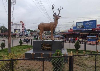 पर्यटन प्रबर्द्धनका लागि अत्तरियामा राखियो बाह्रसिङ्गाको सालीक