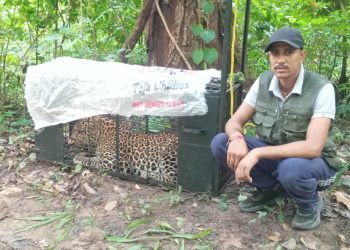 विधालयबाट चितुवाको सकुशल उद्दार