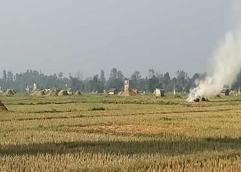 पराल जलाउनमा बेस्त किसान