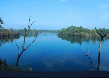रामसार सूचिमा सूचिकृत घोडाघोडी तालमा नगरपालिकाद्वारा नियमविपरित ठेक्का