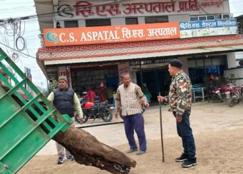 चिसो बढे पछि डिभिजन वन कार्यालय पहलमानपुर द्वारा दाउरा वितरण