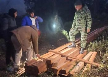 अवैध रूपमा वन अतिक्रमण गरी सालका कडि बरामद