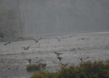 चराहरुको रोजाइमा पर्दै नकरोड ताल