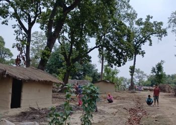 कैलालीमा दिन प्रतिदिन वन अतिक्रमणको बढ्दो