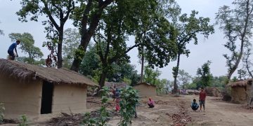 कैलालीमा दिन प्रतिदिन वन अतिक्रमणको बढ्दो