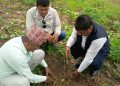 स्थापन दिवसमा हरित संकल्प : N-FECOFUN ले गर्यो वृक्षरोपण