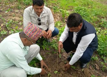 स्थापन दिवसमा हरित संकल्प : N-FECOFUN ले गर्यो वृक्षरोपण