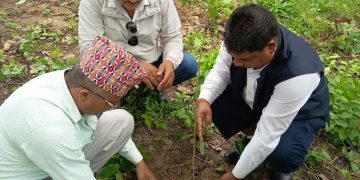 स्थापन दिवसमा हरित संकल्प : N-FECOFUN ले गर्यो वृक्षरोपण
